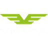 Volta