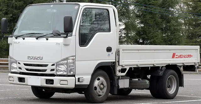 Isuzu NPR 10 Kamyonet